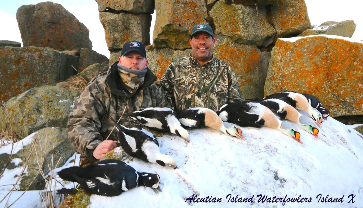 aleutianislandwaterfowlers Alaska Duck Hunting King Eider Hunting