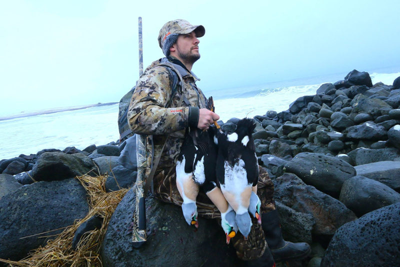 Alaska duck hunting Alaska Duck Hunting King Eider Hunting