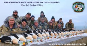 King Eiders Island X sea duck hunt