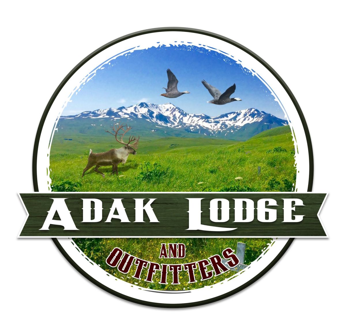 Adak lode & Outfitters Alaska Duck Hunting King Eider Hunting