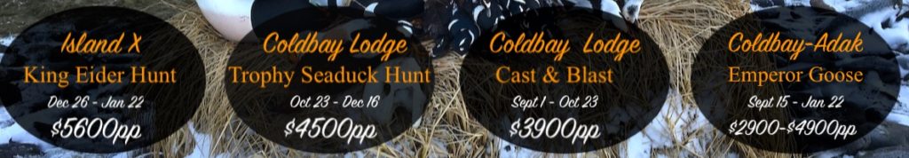 Alaska Duck hunt prices