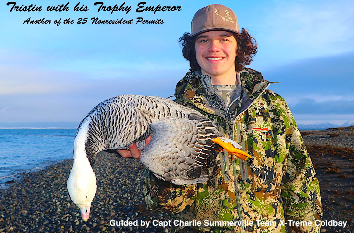 Emperor Goose hunting Alaska Emperor goose hunts Alaska Duck Hunting