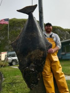 300 plus pound halibut Adak