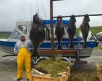 adak halibut fishing charters