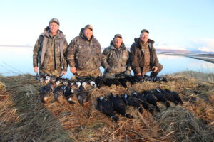 Coldbay Seaduck hunting guides