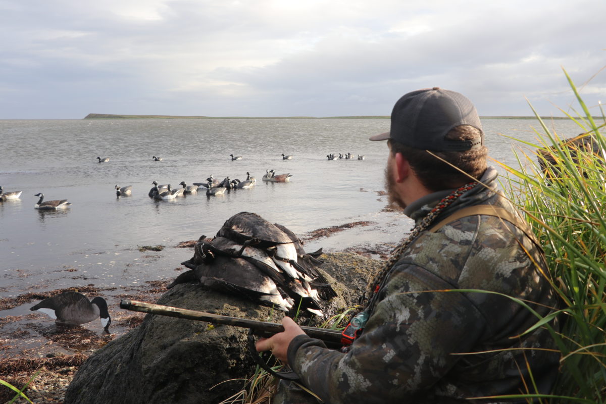 Dive Bomb Goose Alaska Duck Hunting King Eider Hunting decoys Alaska