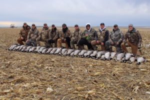 North Dakota Goose hunting