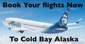 Coldbay Travel Help AK Airlines