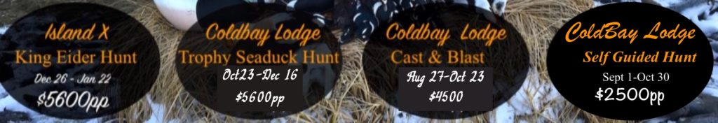 Cold Bay hunt prices