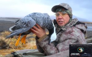 Emperor Goose hunting Alaska