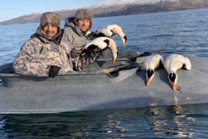 Best Pacific Eider Hunting guides in Alaska