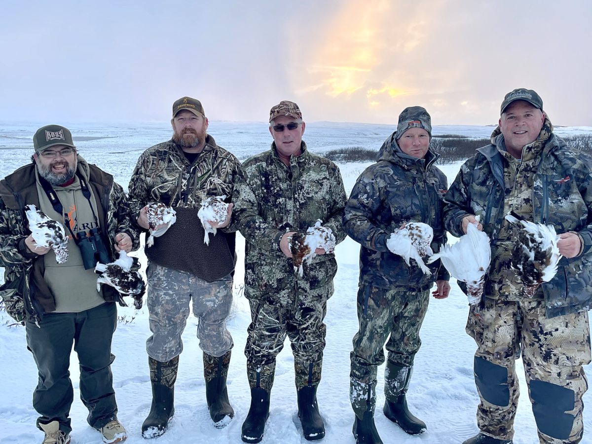 Ptarmigan Hunting in Cold Bay Alaska Alaska Duck Hunting King Eider
