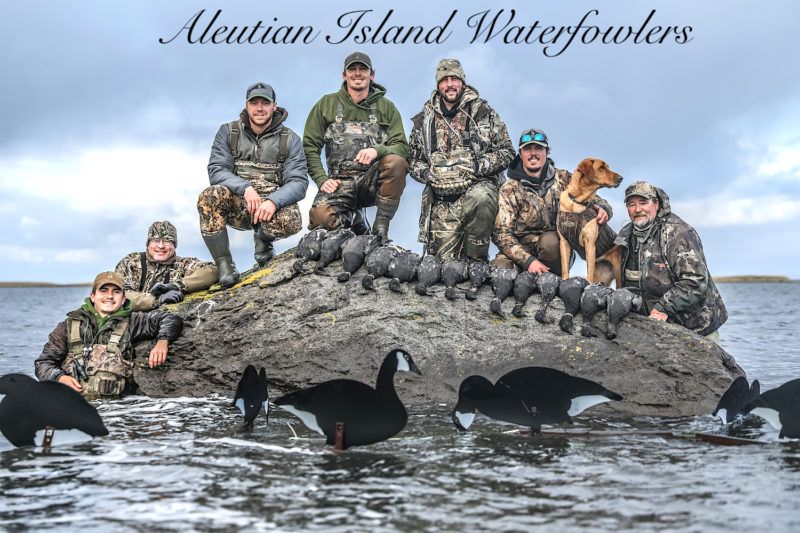 Dive Bomb Goose Alaska Duck Hunting King Eider Hunting decoys Alaska