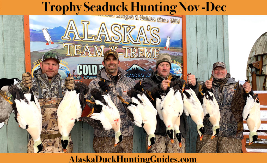 Alaska Trophy Seaduck hunting